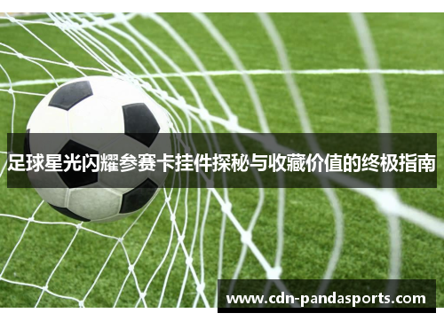 足球星光闪耀参赛卡挂件探秘与收藏价值的终极指南