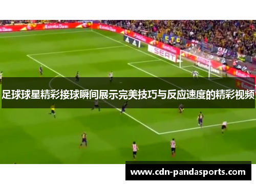足球球星精彩接球瞬间展示完美技巧与反应速度的精彩视频