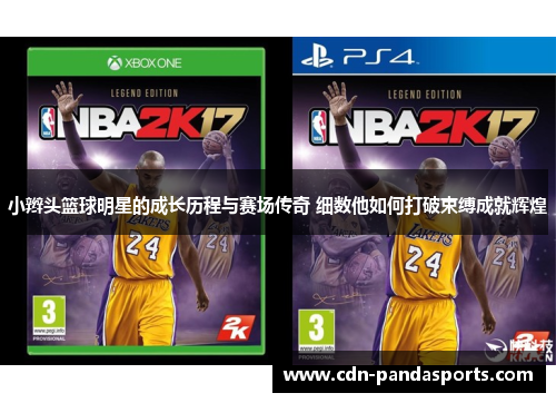 小辫头篮球明星的成长历程与赛场传奇 细数他如何打破束缚成就辉煌
