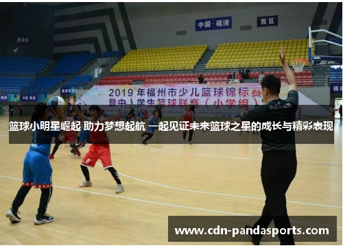 篮球小明星崛起 助力梦想起航 一起见证未来篮球之星的成长与精彩表现