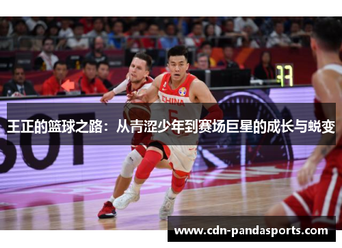 王正的篮球之路：从青涩少年到赛场巨星的成长与蜕变